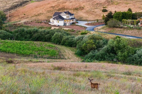 Tiny photo for 6750 Calle Stornetta, San Luis Obispo, CA 93401 (MLS # SC26118762)