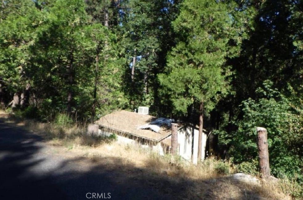 17166 Smokey River