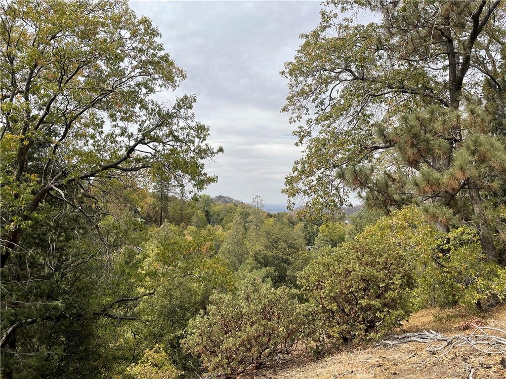 listing image 130727072265950373750