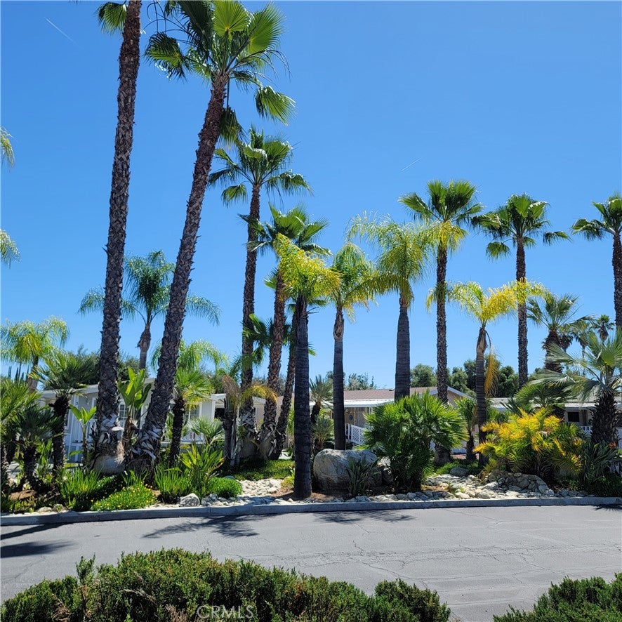 21601 Canyon 4