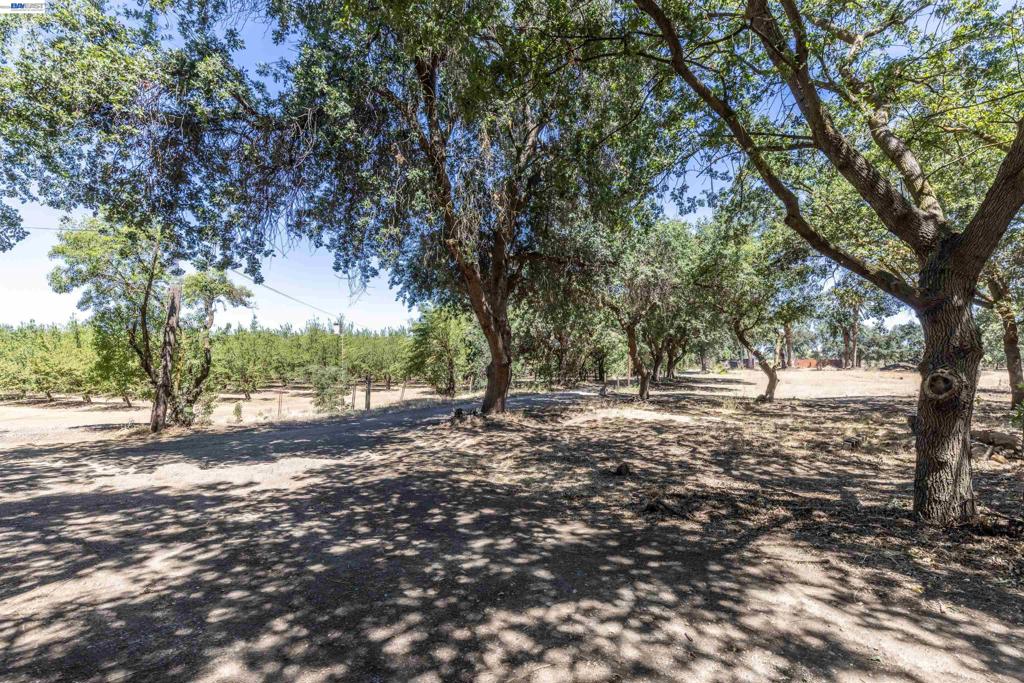 3515 Kellogg Creek Rd