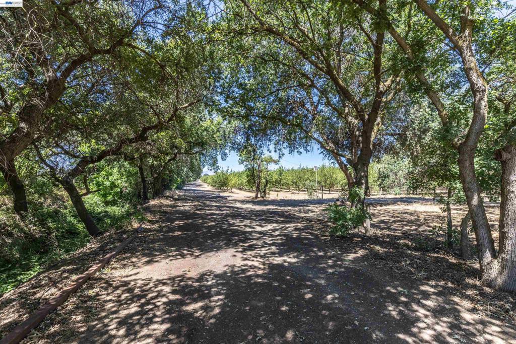 3515 Kellogg Creek Rd