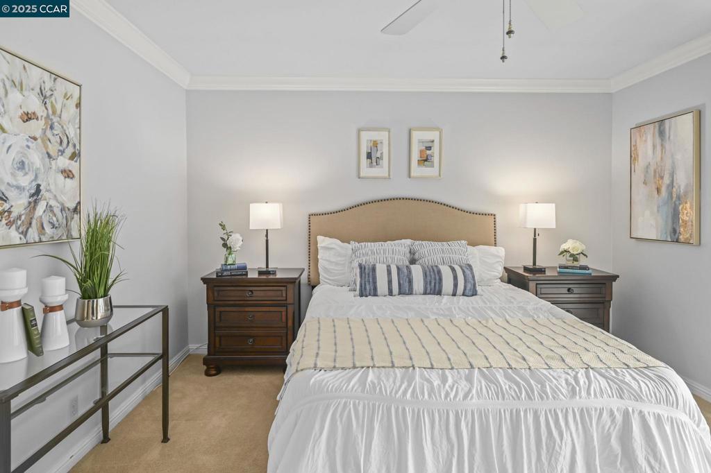 COLONY PARK - Residential