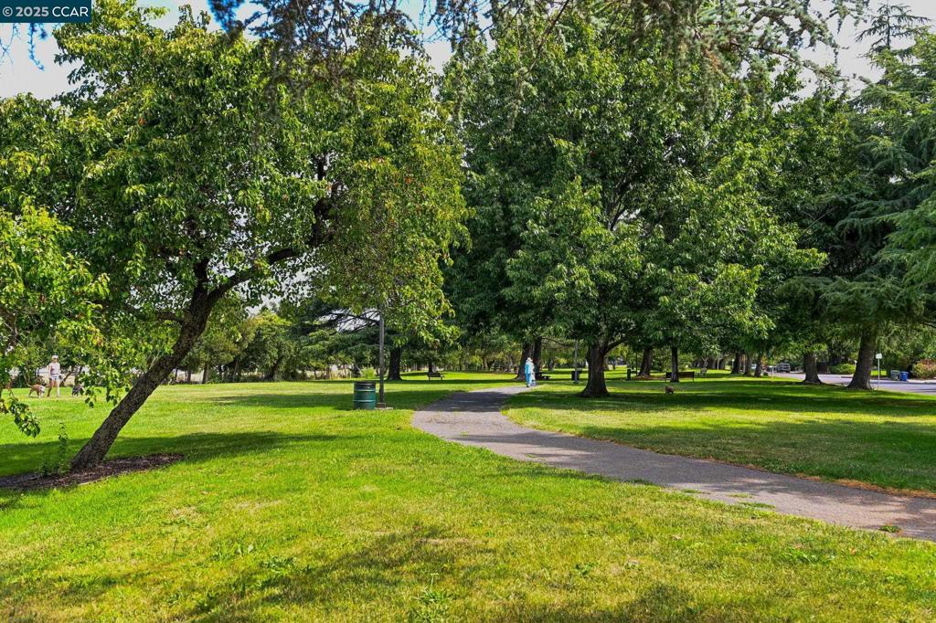COLONY PARK - Residential