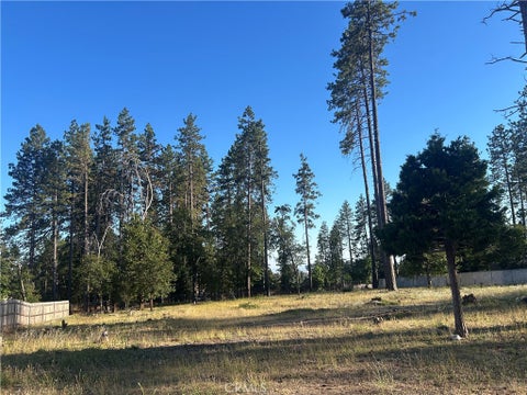 Photo of 1356 Orput LN, Paradise, CA 95969 (MLS # PA26150908)