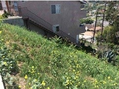 1305 Luella Drive