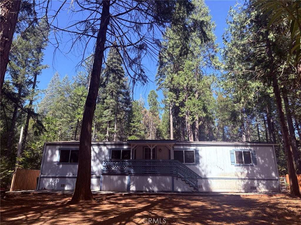 15048 Jack Pine