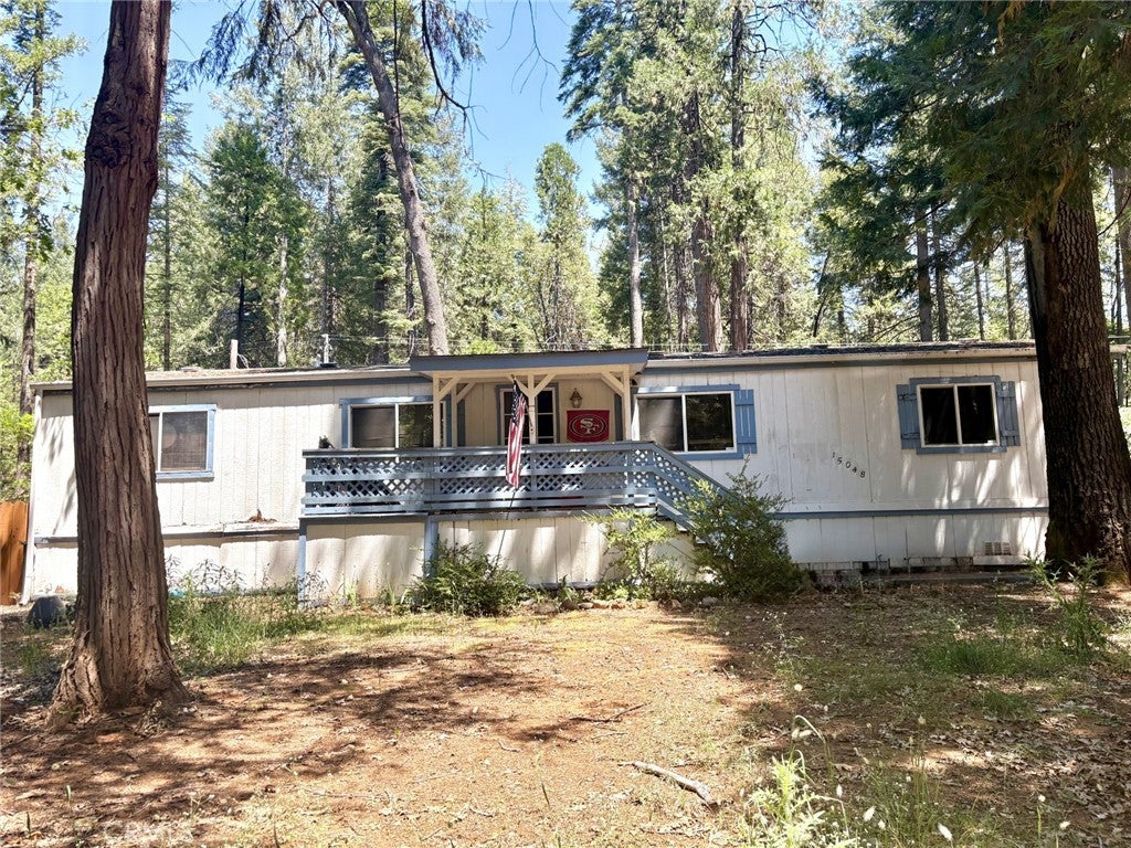 15048 Jack Pine