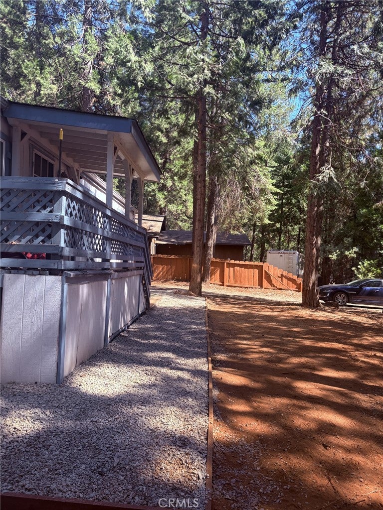 15048 Jack Pine