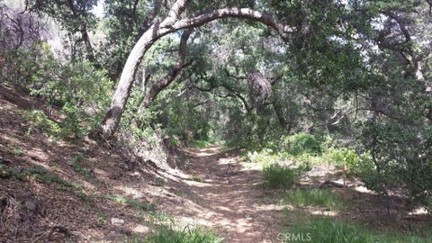 Tiny photo for 8742 Azul DR, West Hills, CA 91304 (MLS # SR26122318)