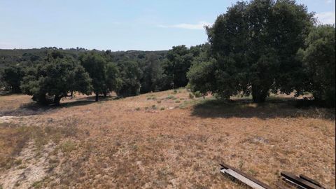 Photo of Avenida De Robles Verdes, Boulevard, CA 91905 (MLS # PTP2509306)