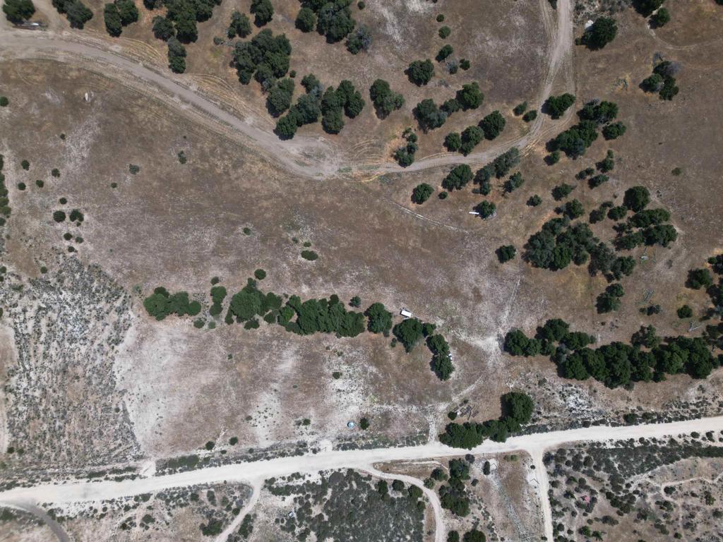 Avenida De Robles Verdes