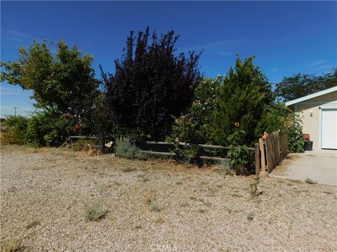 Photo of 19825 Taylor ST, California City, CA 93505 (MLS # CV26156395)