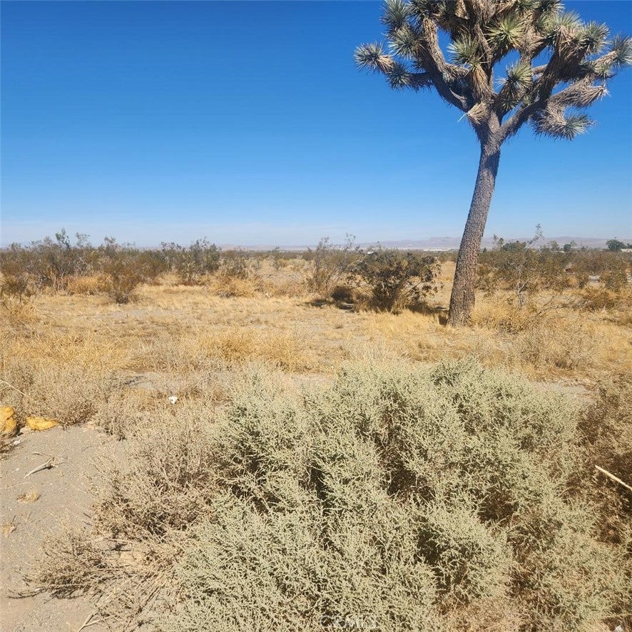 20 Palmdale Road