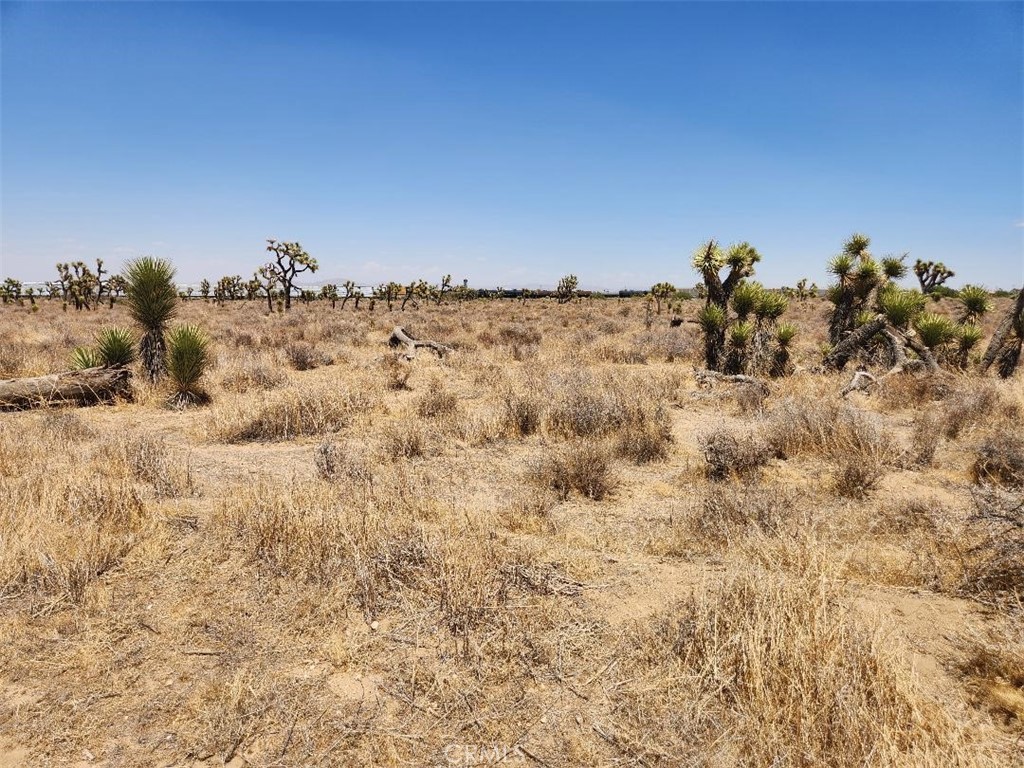 EXCELLENT OPPORTUNITY TO PURCHASE 3 LOTS IN ONE SALE!! Own your own block! These properties comprise of just over 8 acres. Property corners are staked so you can visualize the lot sizes. Located in the Snowline School District and not far off Wilson Ranch Road. Don't miss this opportunity to purchase a large lot already subdivided!! Parcel- 307022121-1.979 acres, 307022122-2.289 Acres and 307022123-3.902 Acres.