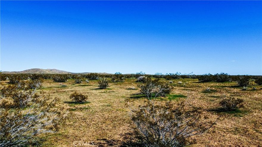 Seller financing is available for this tranquil 2.5-acre lot, offering level terrain with direct dirt road access, situated across from a protected land reserve (Bureau of Land Management/BLM). Nestled near the main paved highway (Randsburg Mojave Road) and just ten minutes from downtown California City, this square-shaped, buildable plot is perfect for outdoor activities like mountain biking, hiking, and off-roading. Enjoy breathtaking sunsets and stargazing opportunities at this great investment location. The seller is open to financing with a down payment of only $1,475. Adjacent to 640 acres of U.S. Federal Land Bureau property, this desirable lot is conveniently located near the highway, measuring 331 by 324 feet. Ideal for constructing your desert haven, this flat, buildable lot invites you to bask in the vastness of the sky and the peace of off-grid living. APN #214-060-03-00-6, GPS Coordinates: 35.184121, -117.885896.