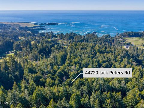 Photo of 44720 Jack Peters Creek Road, Mendocino, CA 95460 (MLS # C1-11256)