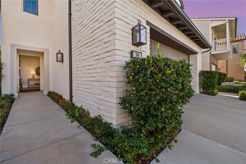 146 Bellini 146 Bellini