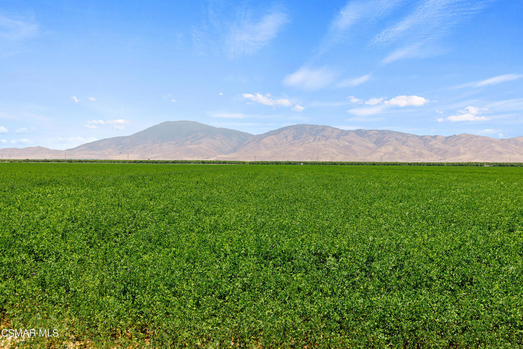 Ranch 450 offers 938.17 acres comprised of 214 acres of both Koroneiki and Arbequina Olives along with 724.17 acres of open ground currently being used for alfalfa and milo. There are 5 wells for approximately 9,318 GPM or 41- Acre/Ft per day, Booster & filter stations, water truck fill & return flood line, one 18-Acre/Ft reservoir and district water available. There is also a brand new 1MW solar system being installed.