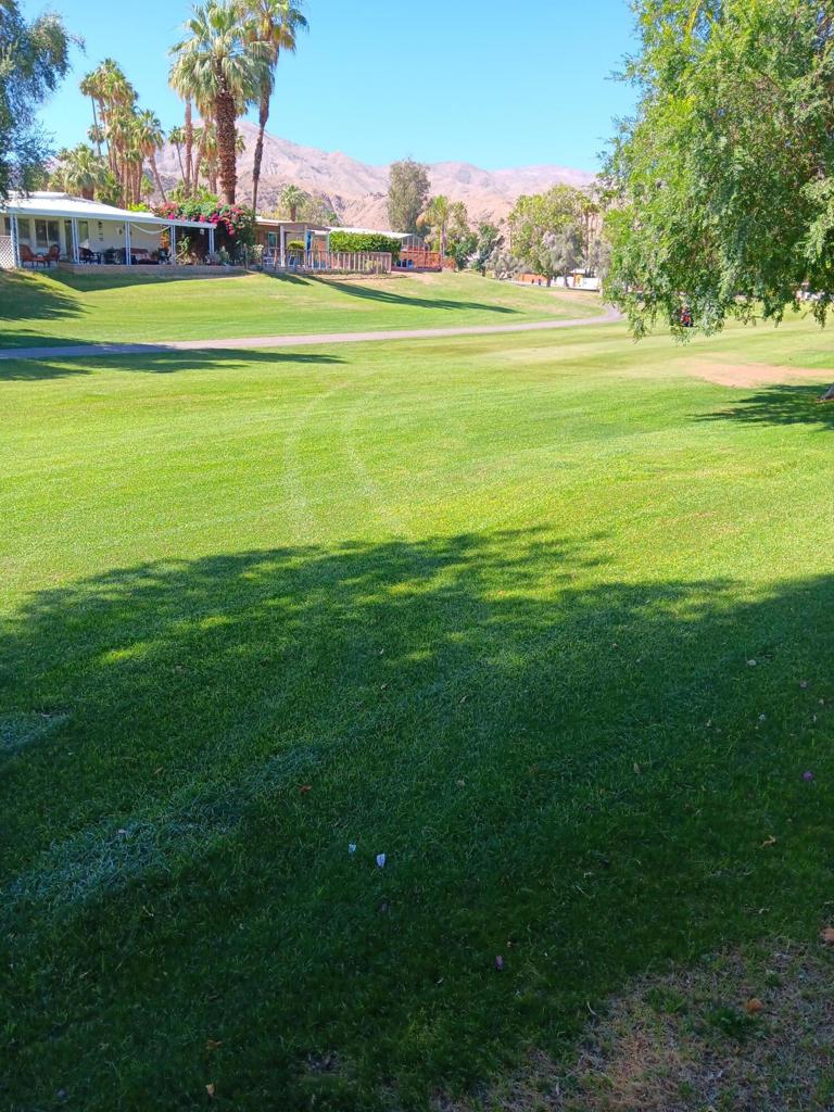 On the Golf Course with East facing views of #7 fairway, mountains and near Pool #2. Nicely remodeled home that is a complete package. All the furniture and items to use without anything needed from the tenant, but their clothes and toiletries. Owner is out of area and not planning on using the unit for sometime, so the longer the lease the better. A small pet may be okay, submit your request. The utilities are to be paid by the tenant with gas, water, sewer and trash amounts sent monthly for payment on the first being late on the 3rd of each month. An electronic payment to be set up for rent payment between owner and tenant. The tenant is to obtain SCE in their own name and be aware of the summer costs for electricity. AC and swamp cooler are available for the tenant to use. The golf course amenities are available for an occupants see rules and regulations from the Park management.
