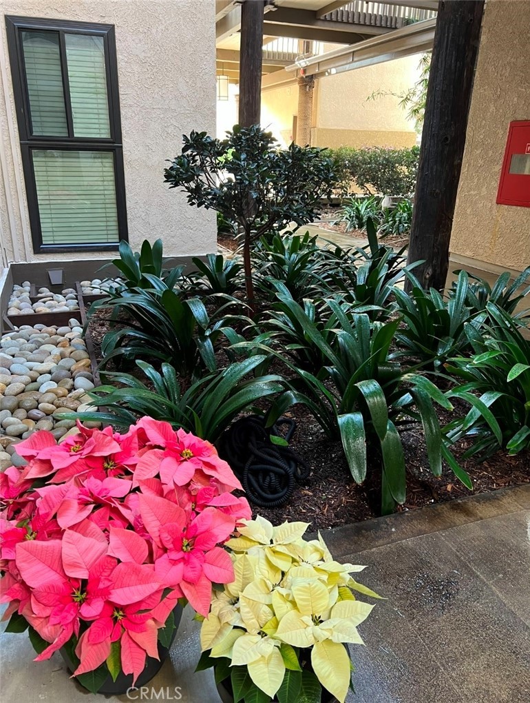 6112 Marina Pacifica Drive N