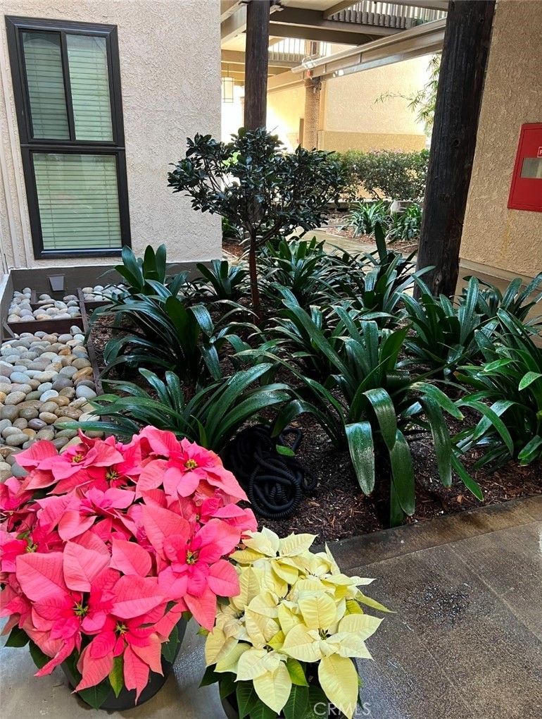 Properties 1 6112 Marina Pacifica N