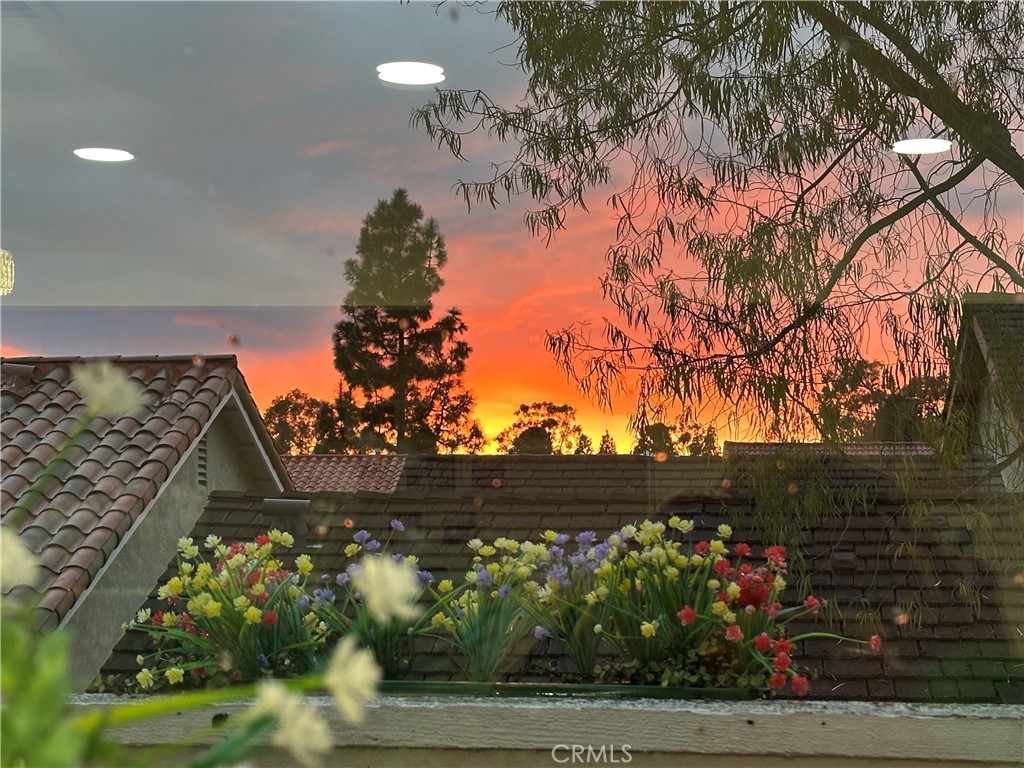 Casta Del Sol - Fiesta (CF) - Residential