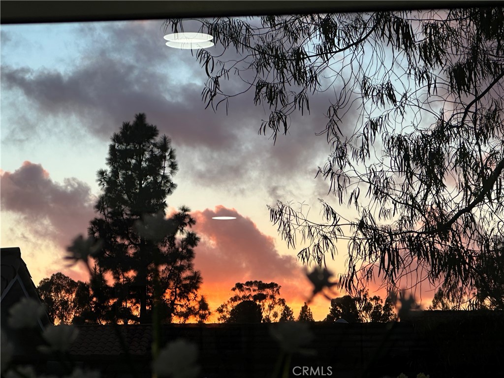 Casta Del Sol - Fiesta (CF) - Residential