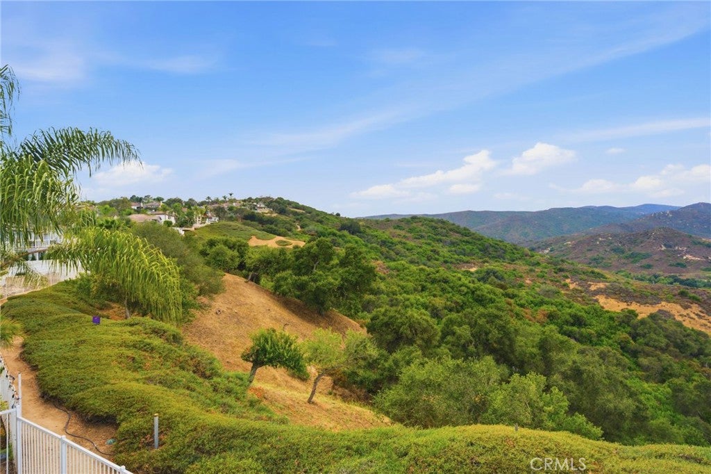 17 Hollyleaf, Aliso Viejo CA 92656 - Photo 35