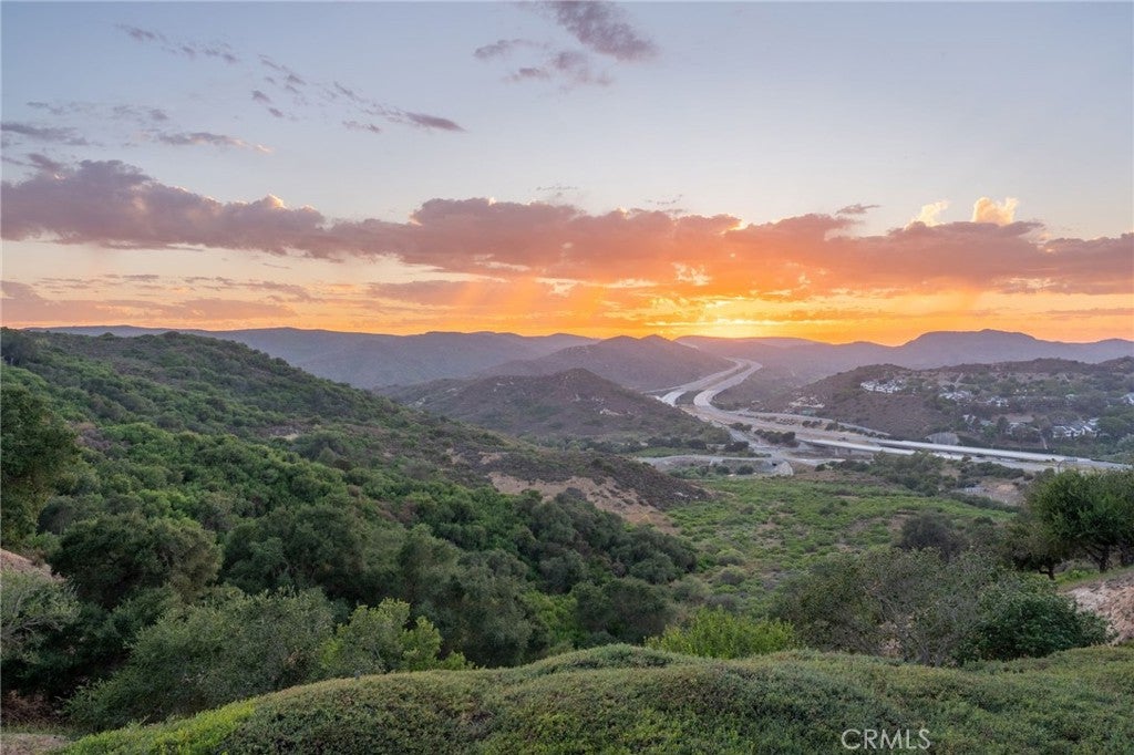 17 Hollyleaf, Aliso Viejo CA 92656 - Photo 49