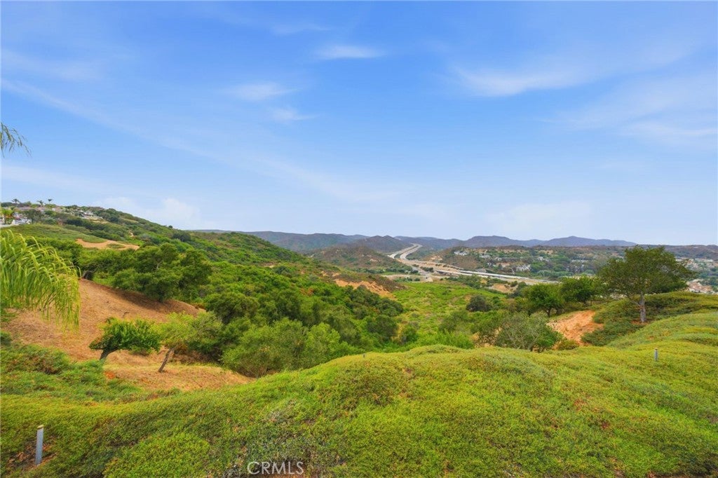 17 Hollyleaf, Aliso Viejo CA 92656 - Photo 34