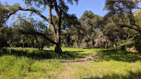 Photo of 30221 Old Stage Road, Trabuco Canyon, CA 92676 (MLS # OC26221597)
