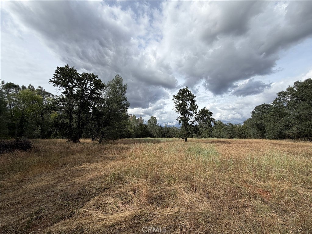 0 Ophir Road