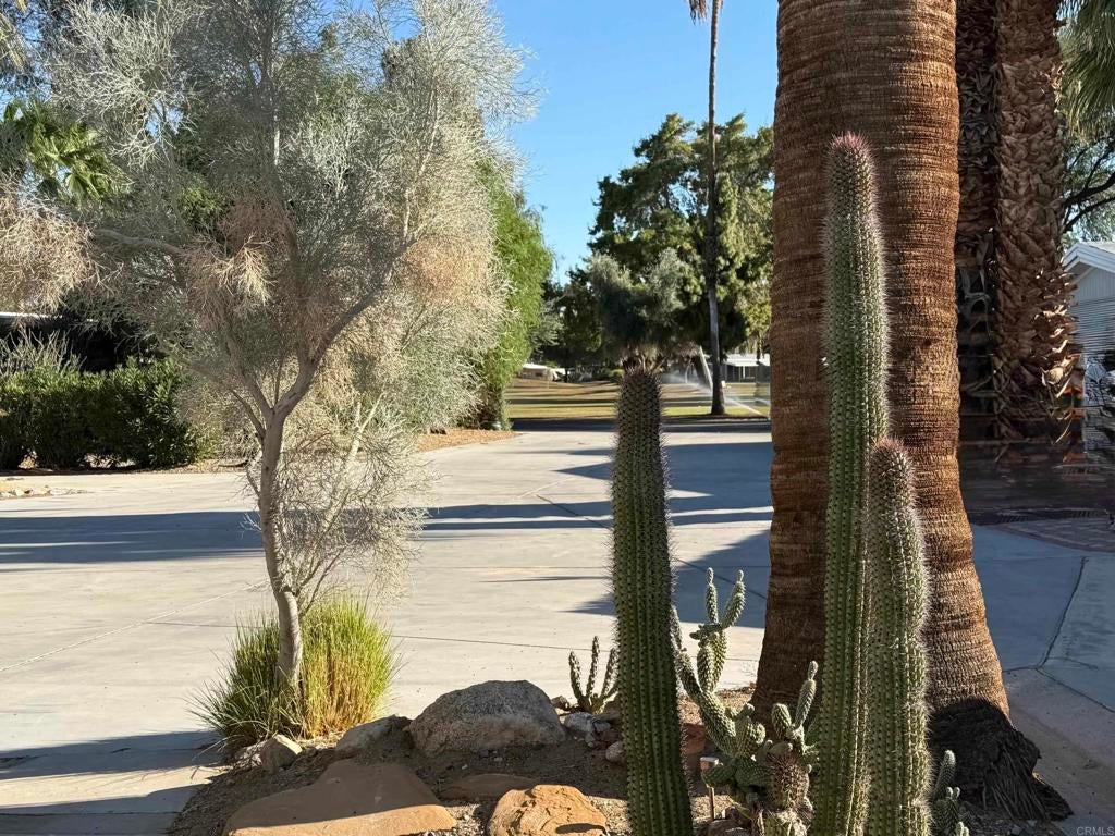 1010 Palm Canyon Drive 31