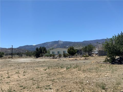 Photo of 9980 Pionero Road, Phelan, CA 92371 (MLS # IV25193984) Photo of 9980 Pionero Road, Phelan, CA 92371 (MLS # IV25193984)