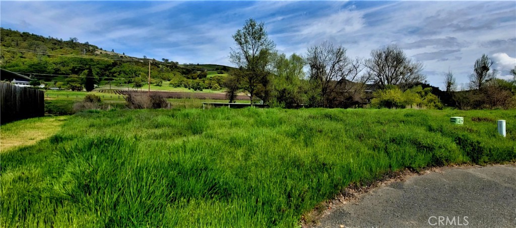 Beautiful waterfront lot at the end of the street in Clearlake Oaks Keys with wildlife all around and amazing views of the hills and vineyards. Close to shopping and bus routes.