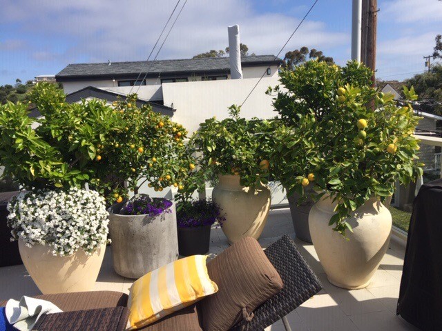 Corona del Mar North of PCH (CNHW) - Residential