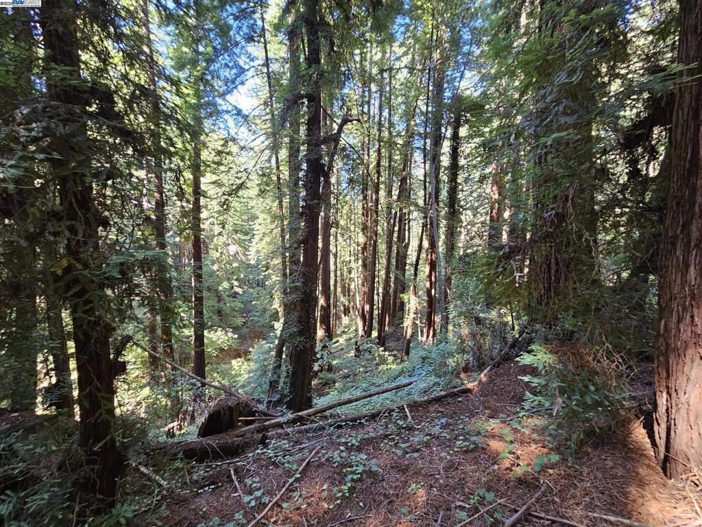 26 Old La Honda Rd