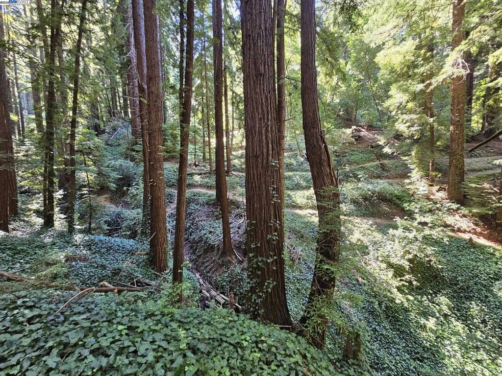 26 Old La Honda Rd