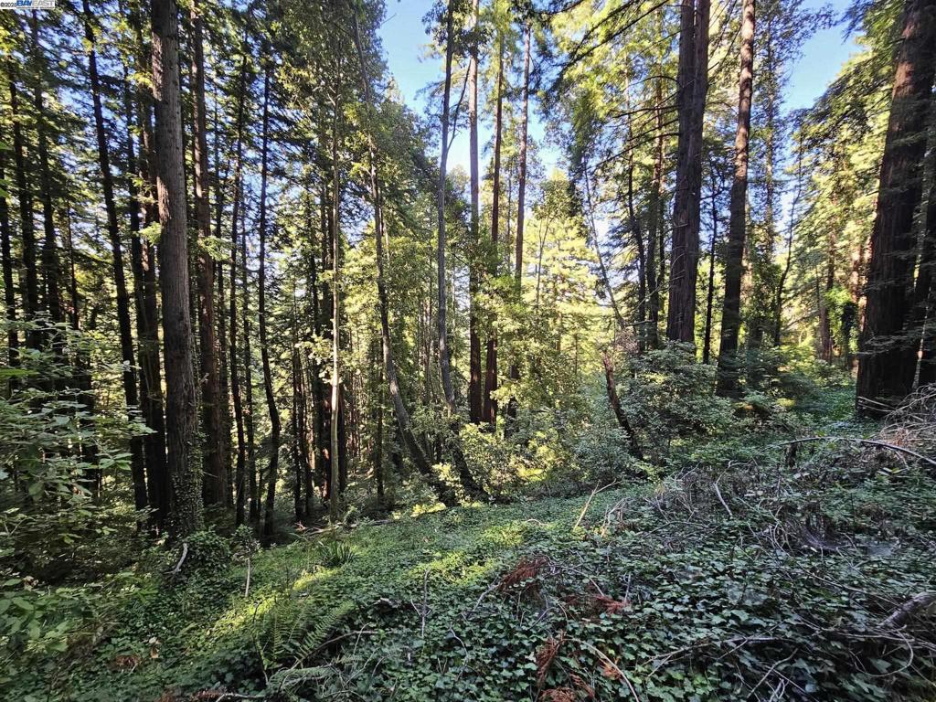 26 Old La Honda Rd