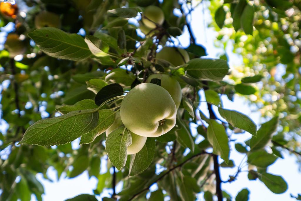 BENT CREEK ESTS - Residential