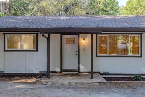 Photo of 23656 Lightning Ln Ln, Pioneer, CA 95666 (MLS # 41129087)