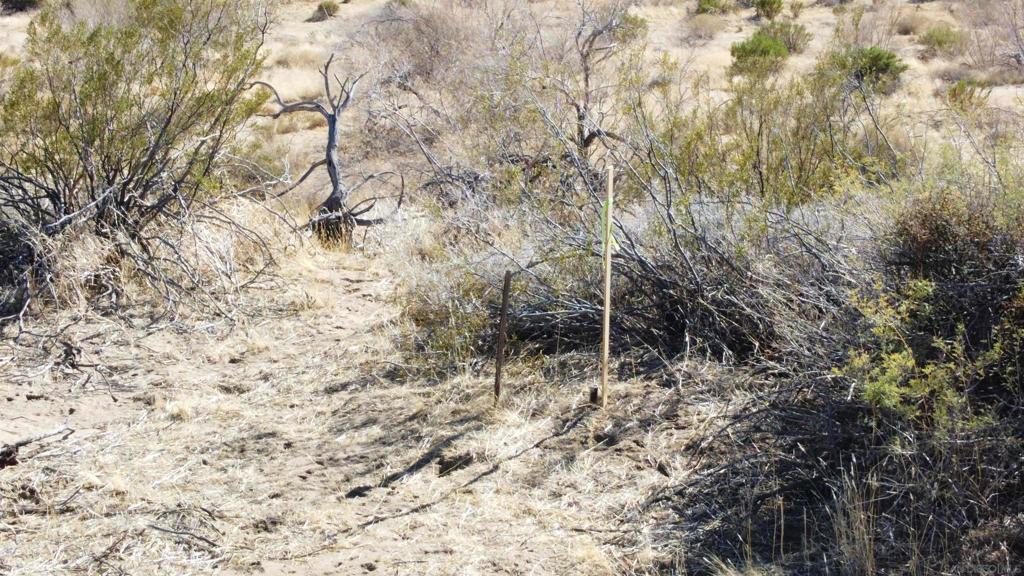 0 Great Southern Overland Rte.