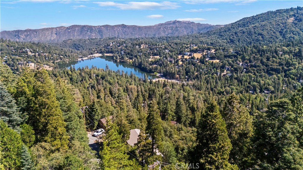 24510 Altdorf Drive