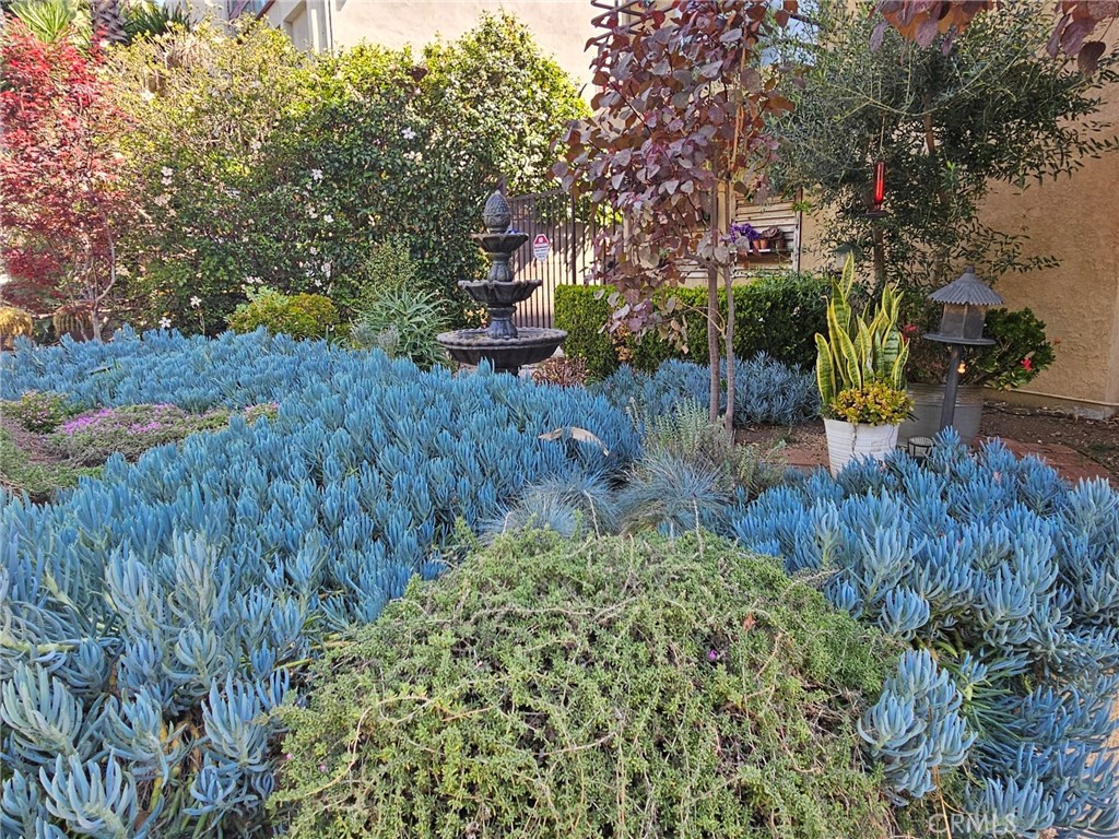 1416 N Vista