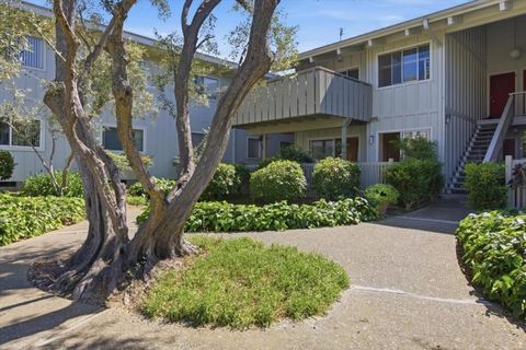 Photo of 255 S Rengstorff Avenue #7, Mountain View, CA 94040 (MLS # ML82042172)