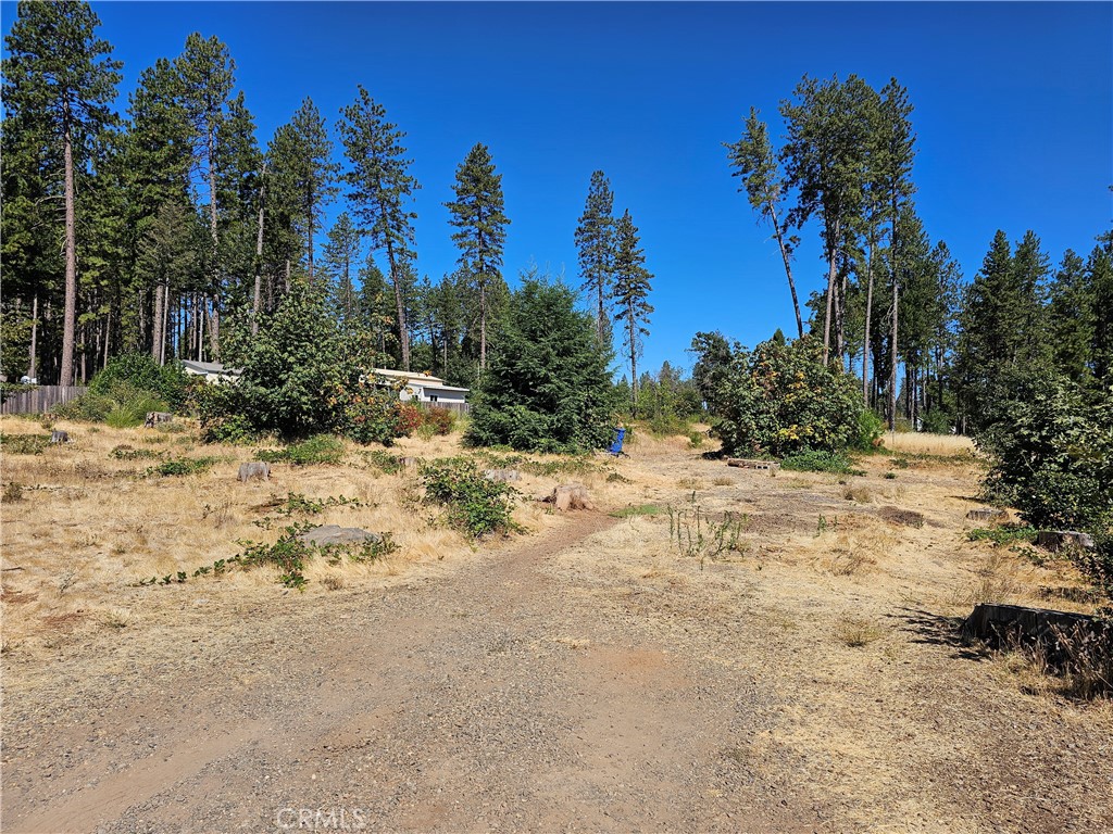 1533 Forest Service Rd