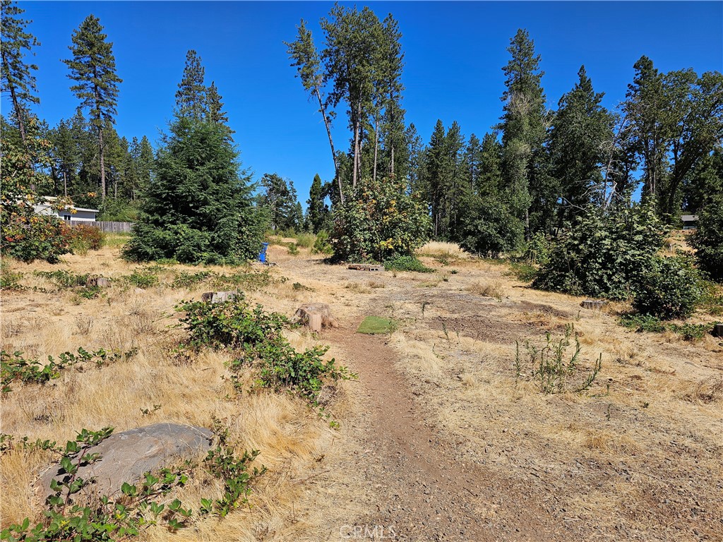 1533 Forest Service Rd