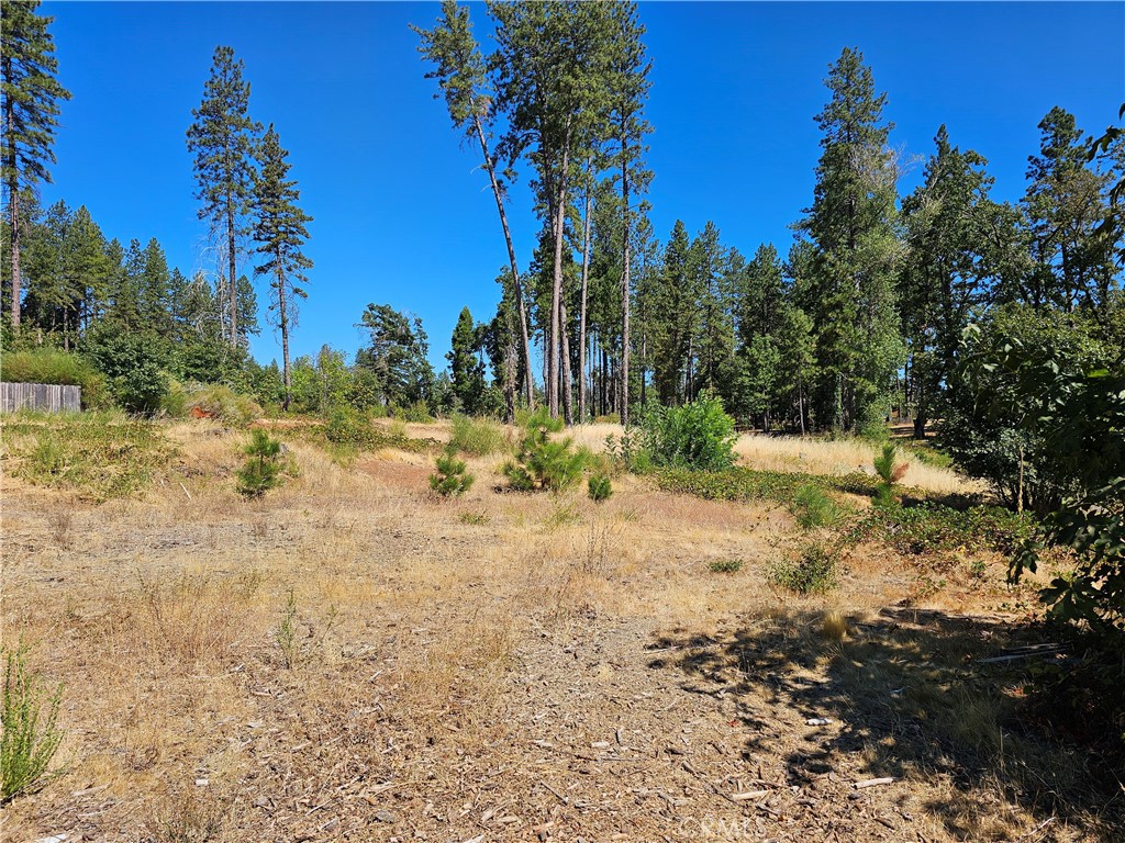 1533 Forest Service Rd