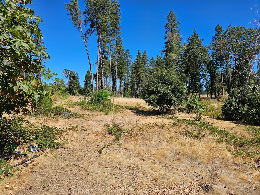 1533 Forest Service Rd